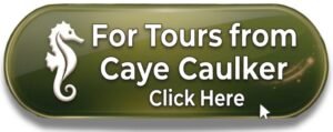 tours-from-caye-caulker