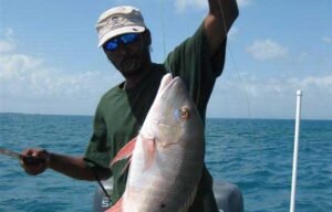 belize barrier reef fishing