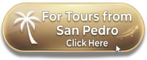 tours-from-san-pedro
