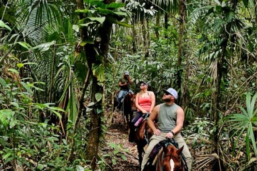 green acres jungle horseback at mile 36 on the hummingbird highaway cayo south district - jungle 1