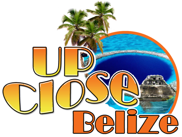 Logo UpClose Belize