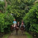 belize-horseback