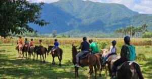 horseback riding in belize