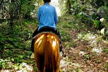 | UpClose Belize Tours horseback-placencia- belize
