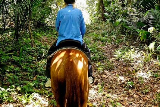 horseback-placencia- belize