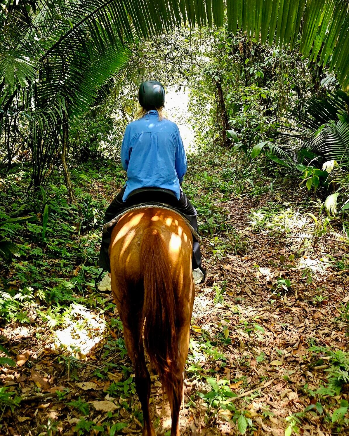 | UpClose Belize Tours horseback-placencia- belize