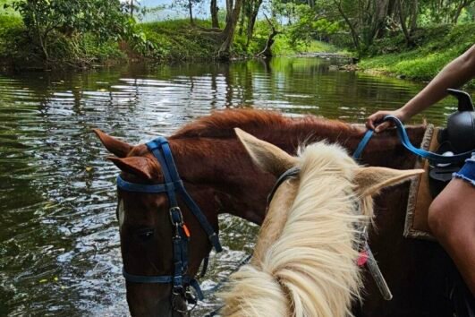 horseback-riding-from-placencia