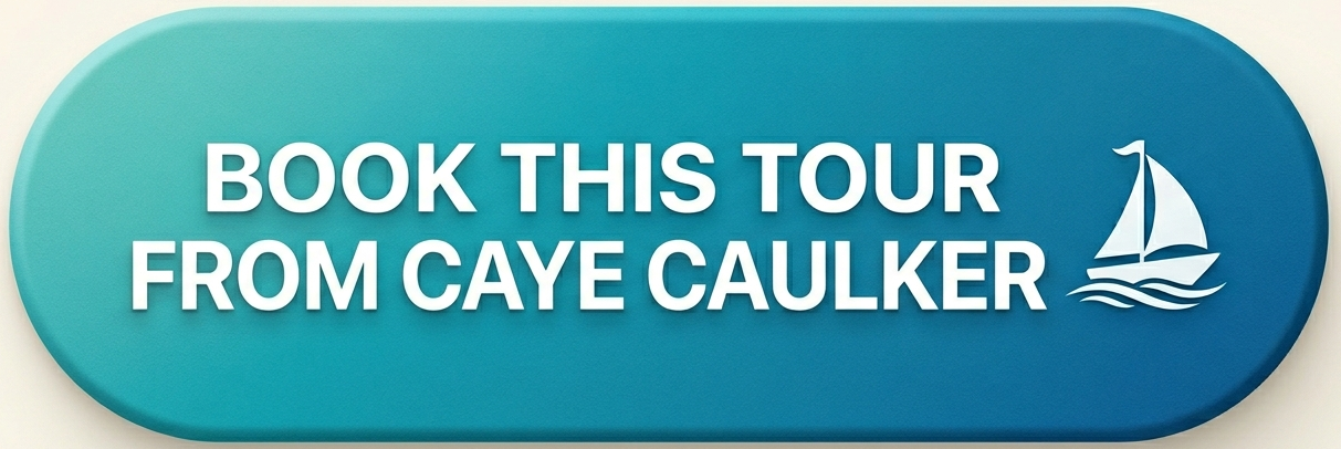BOOK THIS TOUR FROM CAYE CAULKER