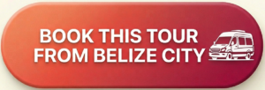 BOOK THIS TOUR FROM BELIZE CITY