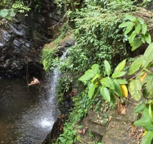 belize-cockscomb-basin