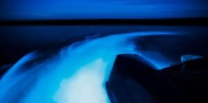 bioluminescence-tour-from-inland-belize