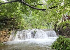 ungle-waterfall-in-belize