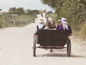 mennonite culture 2