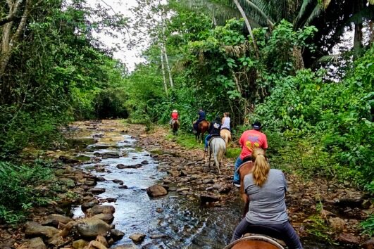 jungle horseback riding with swimming