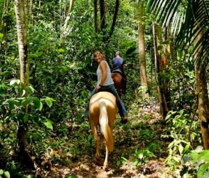 2 hour jungle horseback riding in Belize at Green cres Jungle Horseback Adventure