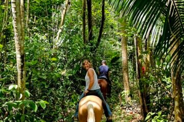 2 hour jungle horseback riding in Belize at Green cres Jungle Horseback Adventure