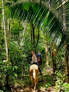 2 hour jungle horseback riding in Belize at Green cres Jungle Horseback Adventure