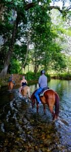 jungle horseback riding adventure 4 hours