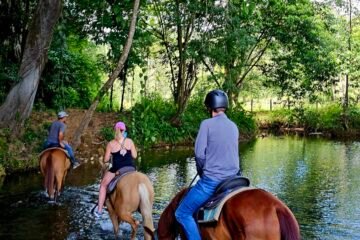 jungle horseback riding adventure 4 hours