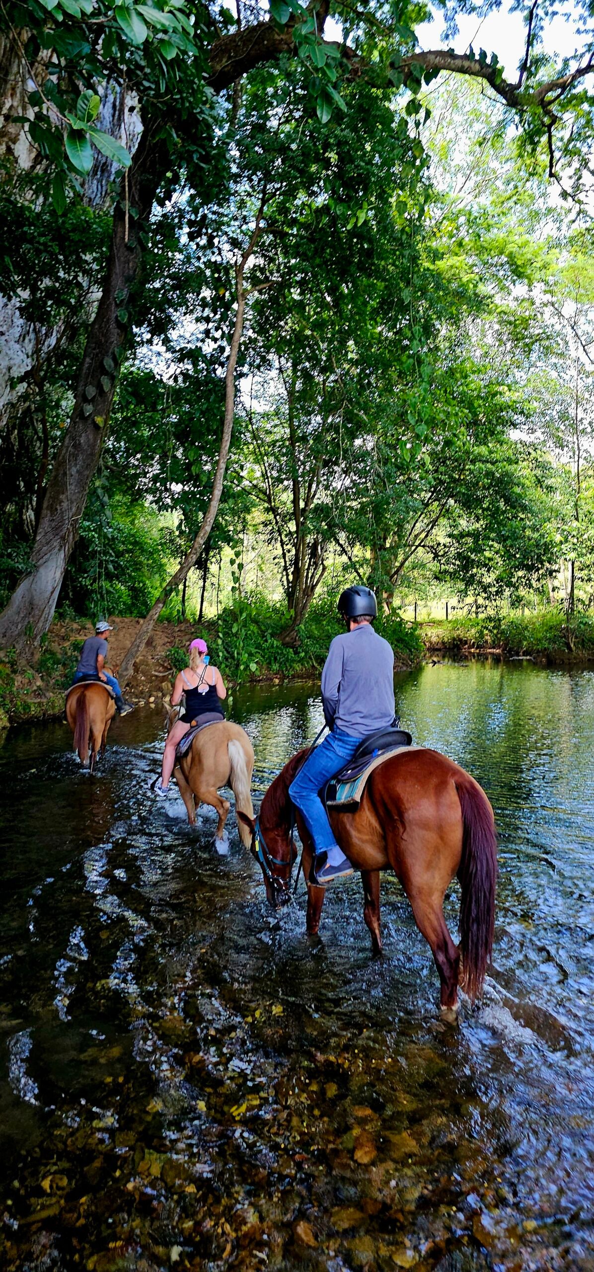 jungle horseback riding adventure 4 hours