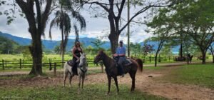 family fun horseback