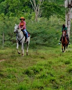 2 hour jungle horseback adventure riding in Belize at Green Acres Ranch