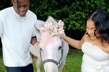 gender reveal at green acres jungle horseback