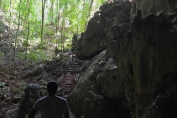 green acres jungle horseback actun balam 2
