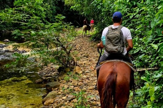 green acres jungle horseback ride experience - 3
