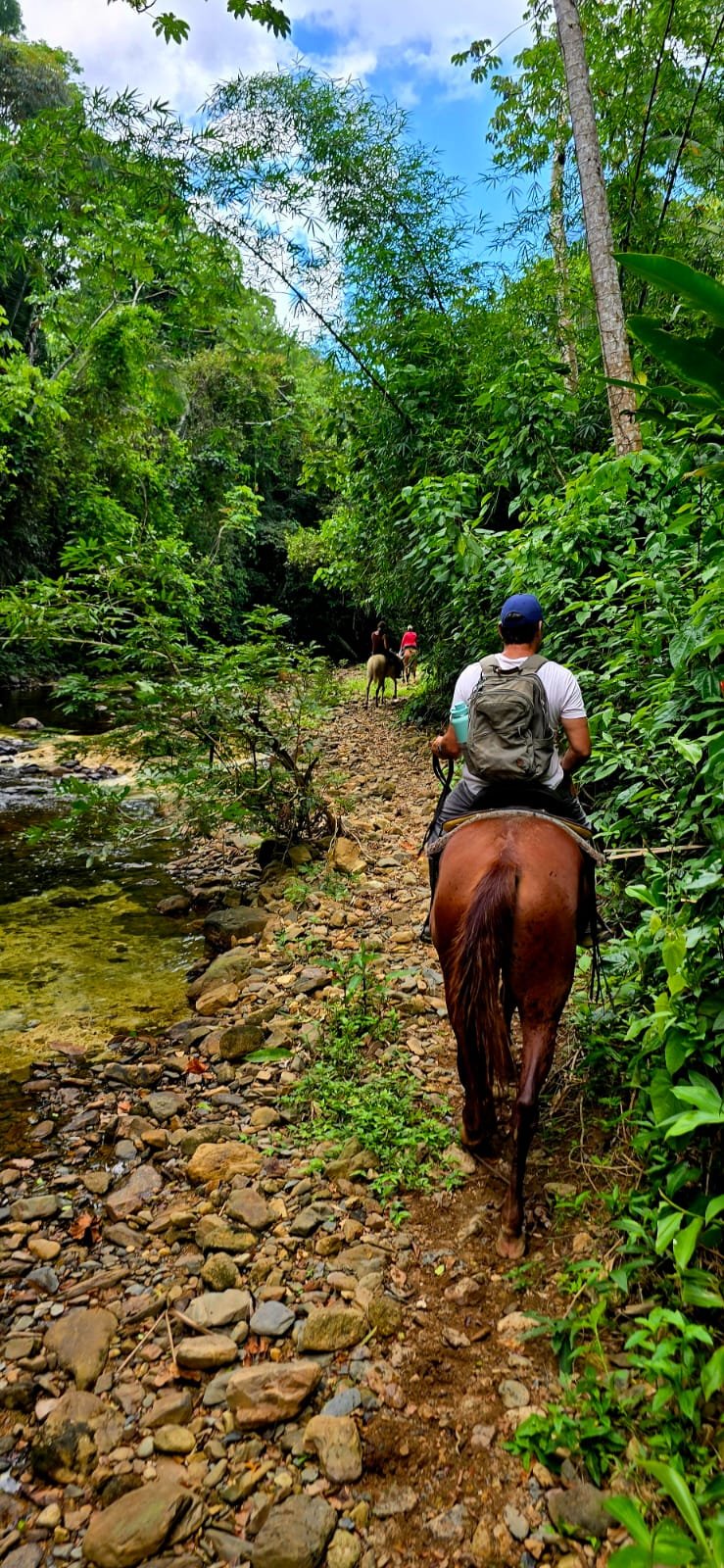 green acres jungle horseback ride experience - 3