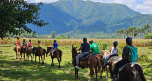welcome to belize horseback riding at green acres jungle horseback adevntures